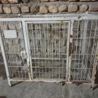 قفس جای مرغ و خروس