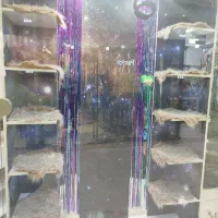 ویترین،پیشخوان،قفسه