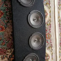 چهار عدد میدرنج و ساب