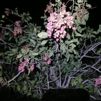 کارگر کشاورزی ماهر جهت کار در شهربابک|استخدام صنعتی، فنی، مهندسی|نی‌ریز, |دیوار