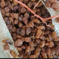کشمش تیزابی|خوردنی و آشامیدنی|محمدیه-قزوین, |دیوار