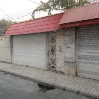 ویلایی۱۹۲متری شمالی|فروش خانه و ویلا|مشهد, هنرور|دیوار