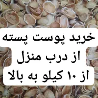 پوست پسته