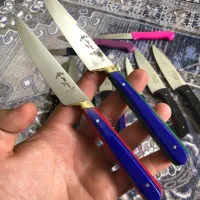 چاقو آشپزی و طبیعتگردی مخصوص