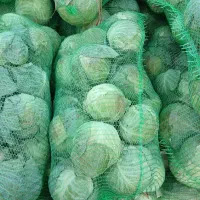 سفید وقرمز|خوردنی و آشامیدنی|شیراز, دانشگاه شیراز|دیوار