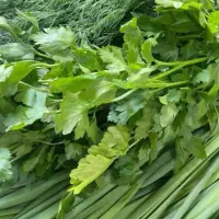 سبزی خورشی و آشی|خوردنی و آشامیدنی|مسجد سلیمان, |دیوار