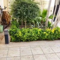 ویلایی/معاوضه/250متر باسازی شده/باهنر