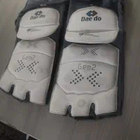 روپا سنسوری دیدو