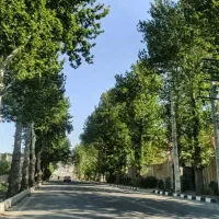 فروش-1250-متر-باغ-داخل-بافت-در-شهریار-بهاران
