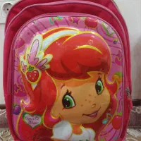 کیف دخترانه چرخ دار