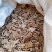 نشتری نان خشک