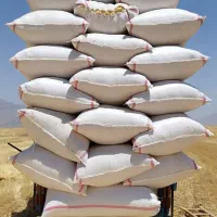 فروش کاه دیم درجه یک تحویلی|عمدهفروشی|خاوه, |دیوار