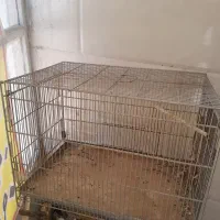 قفس پرنده