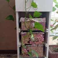 میزاتو با جاپیازی