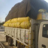 کاه درجه یک و بدون ایراد