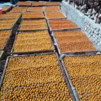 آلو بخارا درجه یک درشت|خوردنی و آشامیدنی|تهران, عباسآباد|دیوار