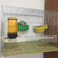 سهره و سهره