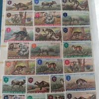 کلکسیون تمبر