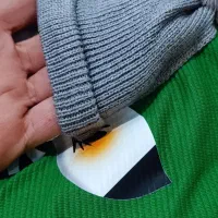 بلوز شلوار طرح گورخر خفن|کفش و لباس بچه|شهرکرد, |دیوار