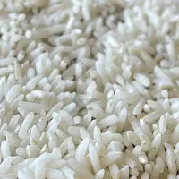 برنج ایرانی