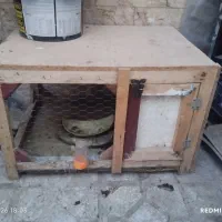 قفس فلزی وچوبی