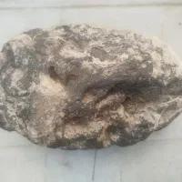 شهاب سنگ|کلکسیون اشیاء عتیقه|مشهد, الهیه|دیوار