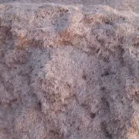 کاه|حیوانات مزرعه|تربت جام, میان جام|دیوار