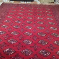 فرش دستبافت ترکمنی اصل|فرش|کردکوی, |دیوار