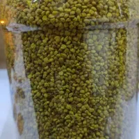 گرده گل طلای زرد