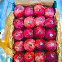 سیب درجه یک|گل و گیاه طبیعی|تبریز, |دیوار