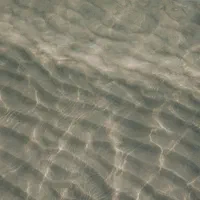 خط ۵۵-۷۱-۲۳۰-۰۹۱۲