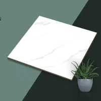 کاشی و سرامیک 80/80|عمده‌فروشی|مشهد, کلاهدوز|دیوار