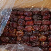 خرما آفتابی کیلویی۱۲۰