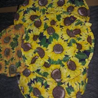 دم  کنی نو۴عدد