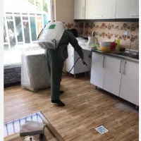 سم پاشی|خدمات باغبانی و درختکاری|قوچان, |دیوار