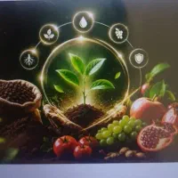 کود ارگانیک مناسب هر نوع کشت و محصول