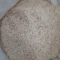 برنج هاشمی مستقیم از کشاورز فروش عمده و خرده