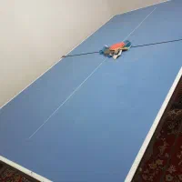 تنیس رو میز