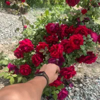 4چهار-دیواری-فول-امکانات-سند-احمد-آباد-دشت-بهشت
