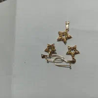 گوشواره و پلاک