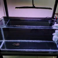 اکواریوم نو با وسایل مفت