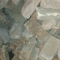 اجر در حد سعی سالم