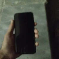 کوشی شیامی نوت ۸