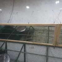 آیینه جهت میوه فروشی