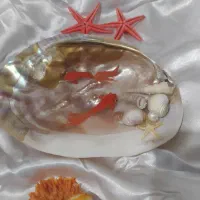 حوض ماهی رزینی|صنایع دستی و سایر لوازم تزئینی|شیراز, نصر|دیوار