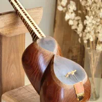 تار حرفه‌ای عباسی