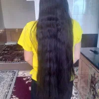 خریدارموهای طبیعی شما باقیمت دلاری