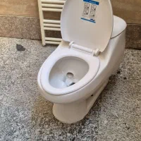 توالت فرنگی سالم-چینی کرد