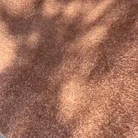 پالاز موکت