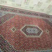 فروش فرش شش متری ماشینی|فرش|سنندج, |دیوار